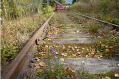 Skjermbilde3